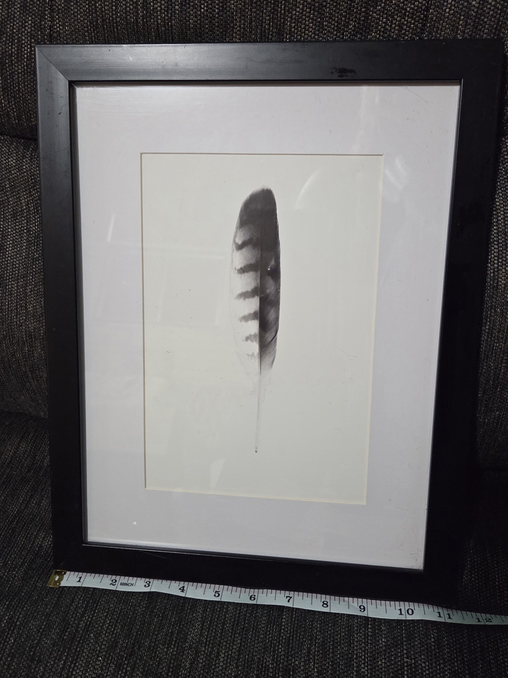 Framed Black Feather Wall Art – Minimalist Home Decor
